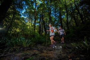 BIB: 
                            <button type="button" onclick="openModal(19241059)" class="btn btn-primary btn-sm float-right btn-popup" data-toggle="modal" data-target=".modal-high-quality">
                        <i class="fas fa-shopping-cart"></i> Add to Cart
                    </button>
                                            <button type="button" onclick="isThisMe(19241059, true)" class="btn btn-success btn-sm float-right btn-popup btn-isme hidden" data-toggle="tooltip" data-placement="bottom" title="นี่คือรูปของคุณใช่ไหม คลิกที่นี่เพื่อเอาเข้าอัลบั้ม">
                        <i class="fas fa-plus"></i> Add to album
                    </button>
                    <button type="button" onclick="isThisMe(19241059, false)" class="btn btn-warning btn-sm float-right btn-popup btn-isnotme hidden">
                        <i class="fas fa-ban"></i> Remove from album
                    </button>